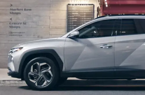 Importing and Exporting Vehicles: International Marketplace Guide